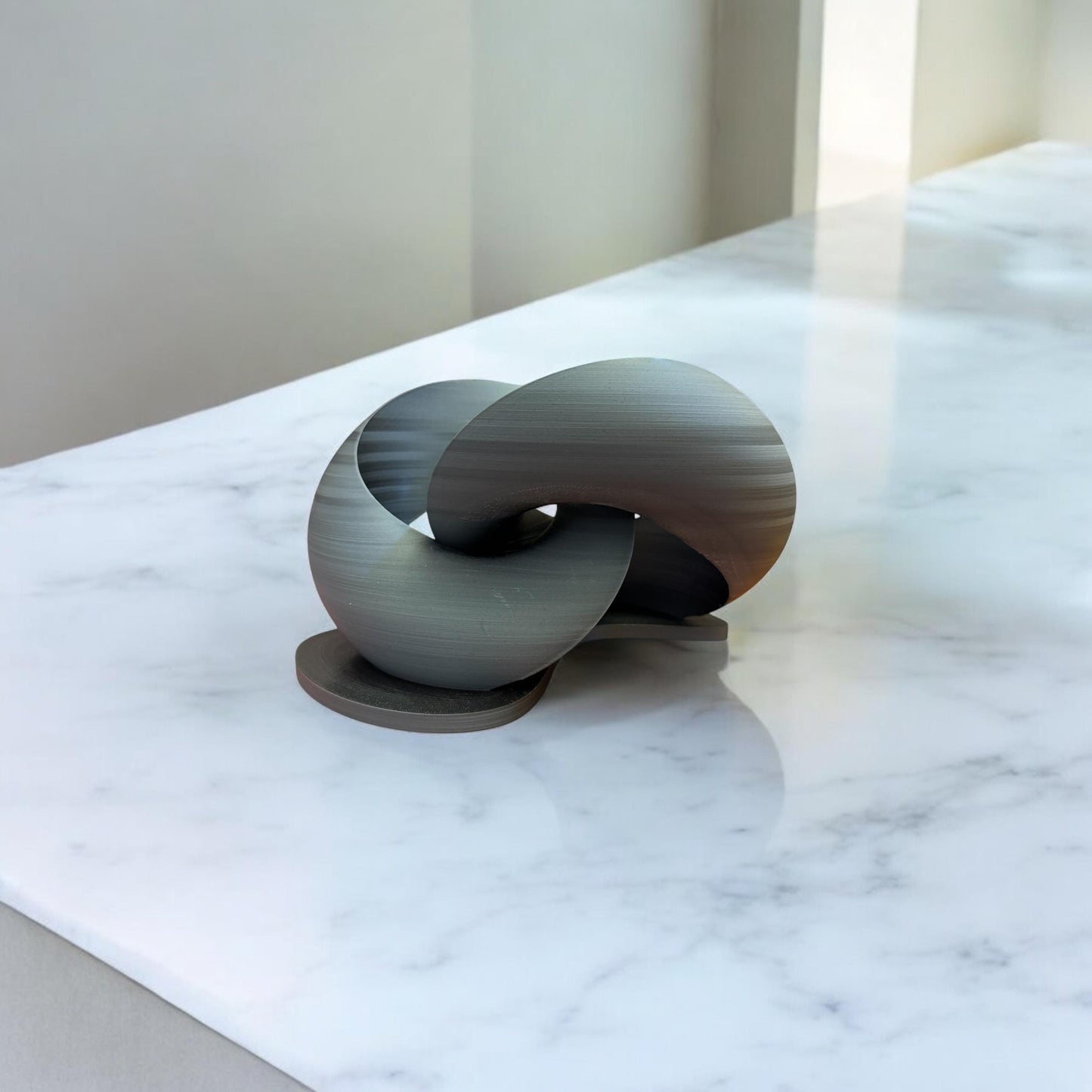 Mobius Strip Bisected Torus Sculpture