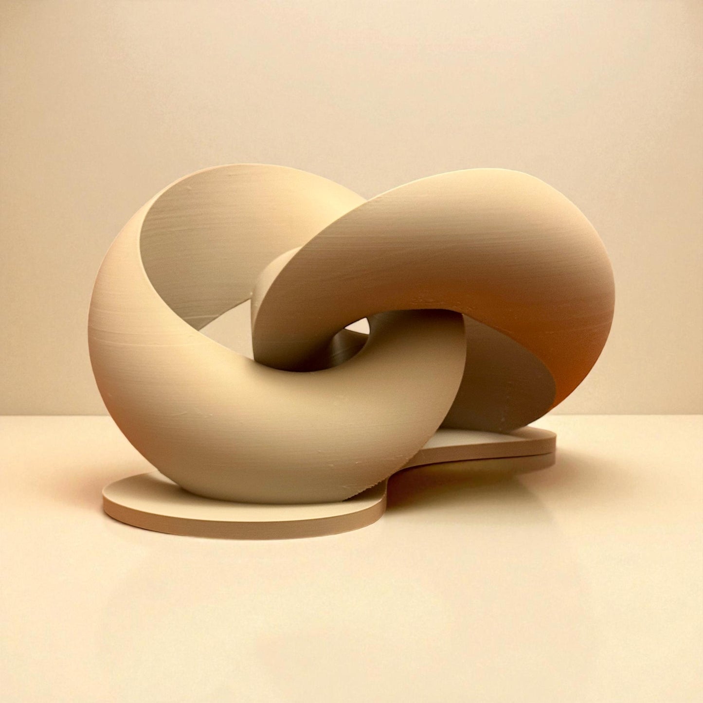 Mobius Strip Bisected Torus Sculpture